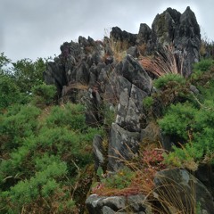 La Roche Du Feu