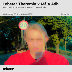 Lobster Theremin x Mála Ádh w/ Céilí B2B MarcelDune & DJ Ketaflush - 30 June 2021