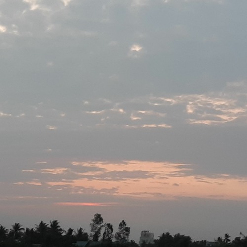 ánh chiều tàn