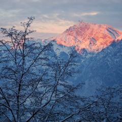Mattino