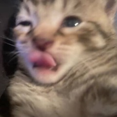 save me (p.jaetanaa)