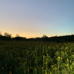 Stick dance- Nolan Lay & Billy Redeye