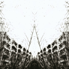 you.  .  ,   c  b  my ,x(  z,a    從。。     卡g。 gxg