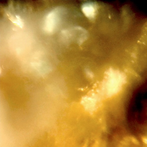 dune drop