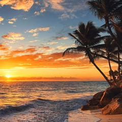 PARADISE