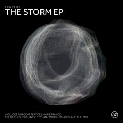 Premiere: Fur Coat Ft. Delhia De France - Eye Of The Storm (Nico Stojan Remix) [Renaissance Records]