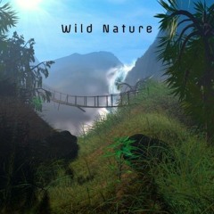 Wild Nature