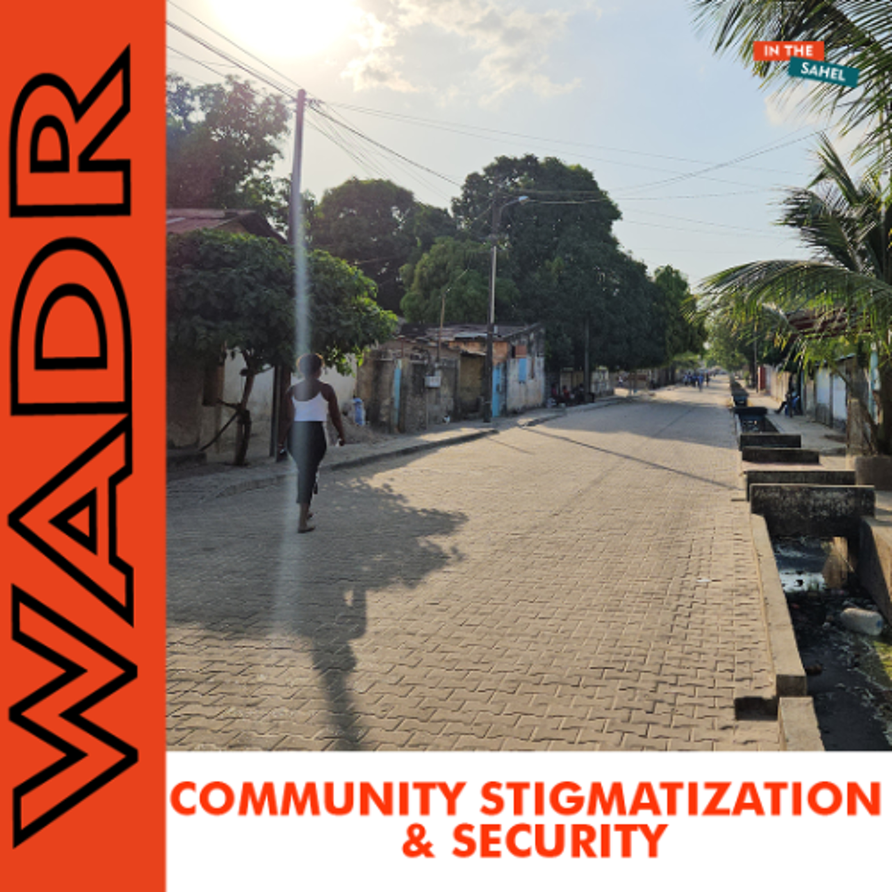 Community Stigmatization & Security Challenges in the Sahel episode artwork