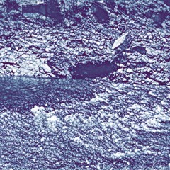 Skinner And Co. Demo Album