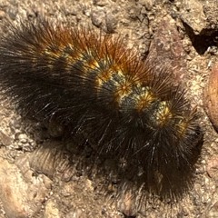 Woke.1Day:(never thought 💭