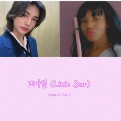 꼬마별 Little Star flute cover