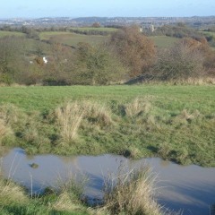 Project 1 Final (Old Hills)