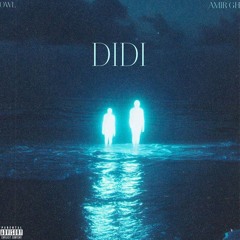 didi   Owl×amirgh
