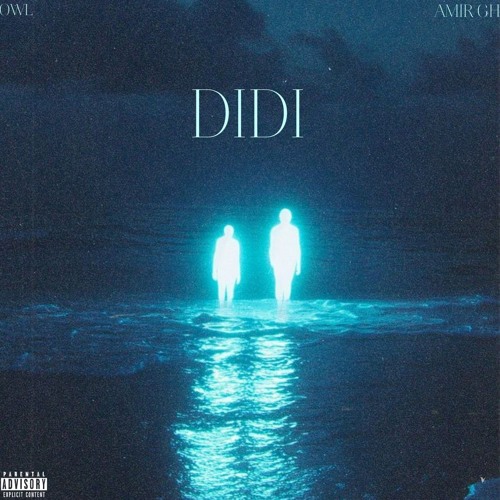 didi   Owl×amirgh