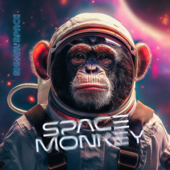 Space Monkey