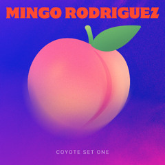 Mingo Rodriguez - Coyote Set ONE (Latin house Latin Tech)