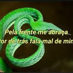 "COBRA VERDE E VENENOSA