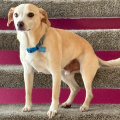 Baby Mommas (feat. Dinero100k)