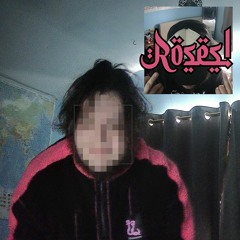 roses! (with a dozen)