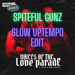 Voices In My Head - (ACINA & BONKA Mashup) (Slow Uptempo Edit)