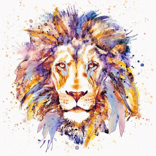 Carnivore (Prod.Nevod)