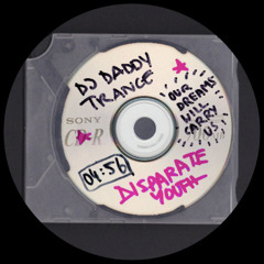 PREMIERE: Santigold - Disparate Youth (DJ Daddy Trance aka Marlon Hoffstadt Edit)