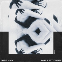 I Won't Know (Spitt, the Kid x Dan.G)
