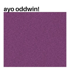oddwin sample challenge 6