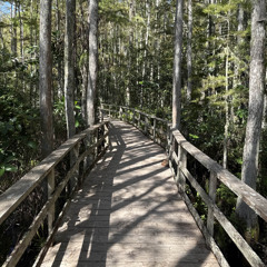 untitled - handshakes and highfives