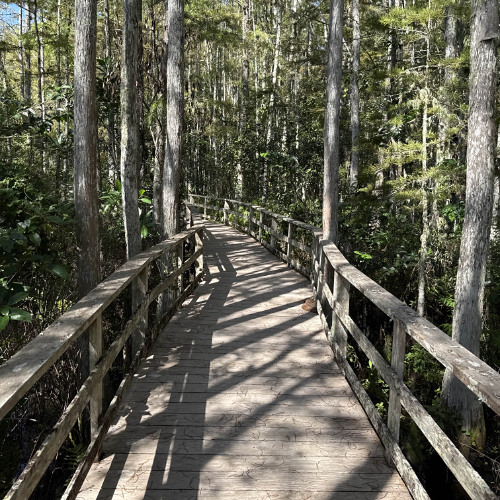 untitled - handshakes and highfives