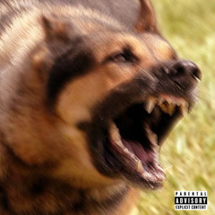 dUmMiNuTs (Ft. ABK Nick)(Prod. Kylejunior)