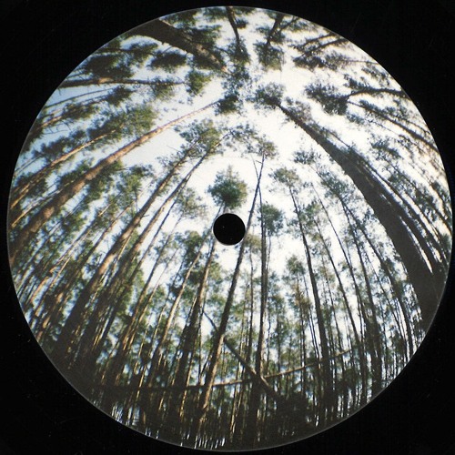 Premiere : Luc Ringeisen - Weep (Luc Ringeisen & Lorenzo Chiabotti jam version) (DPNS002)