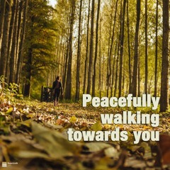 Peacefully walking towards you