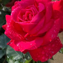 "What we spend our lives on? / На что мы тратим жизнь?" Caver песни Е.Дудина на стихи Э.Рязанова