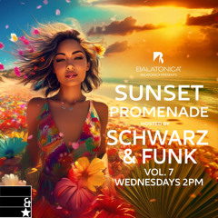 Schwarz & Funk - Sunset Promenade vol. 7