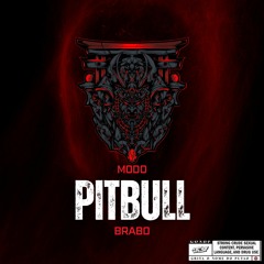 MODO PITBULL BRABO ft. Mc KF (DJ LG do SF, TH do PRIMEIRO & TJ do MDP)