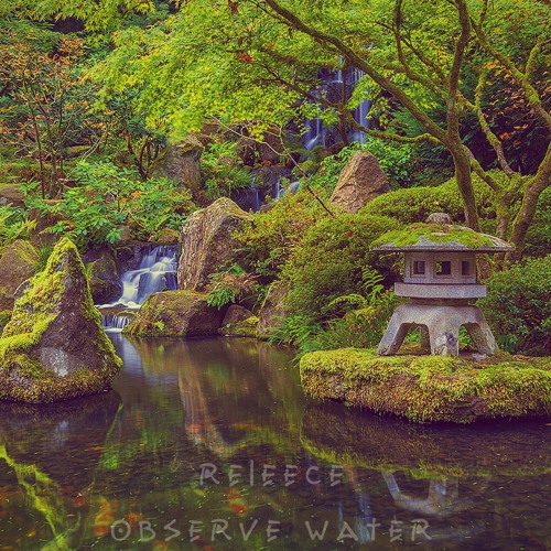 Observe Water