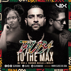 Tauba To The Max - DJ VIX EDIT -