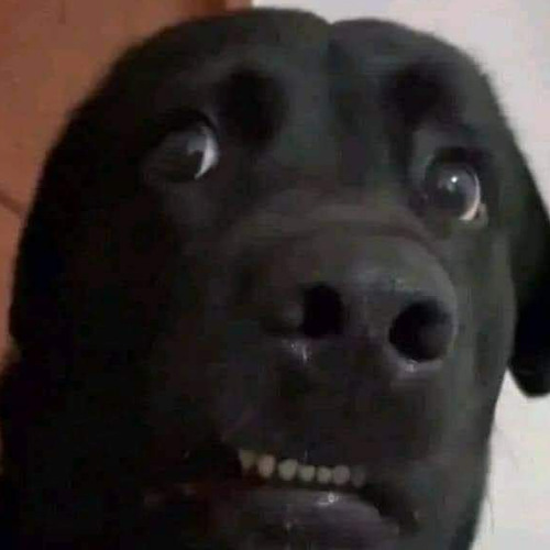 random ass beat on fl studio