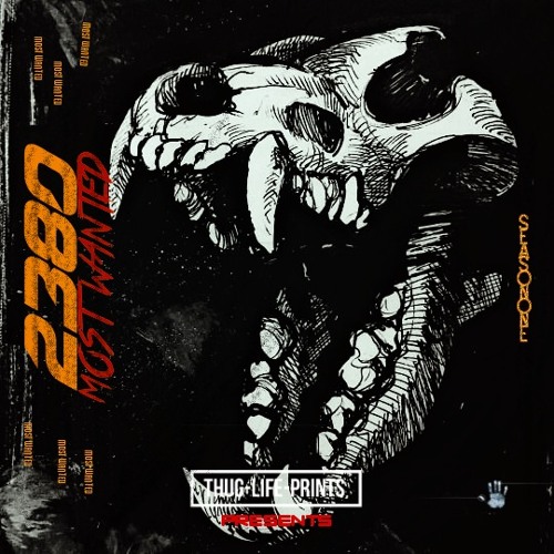 Stream BlaQBoy Zulu Baphelile (Prod. MC KAMO) by THUG LIFE PRINTS Listen online for free on