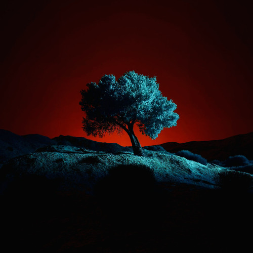 Nicho - Diakatame |Plegazemia.EP|