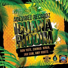 IGUANA RIDDIM 2021 - Don Yute - great adventure_ 04 08 (mastered)