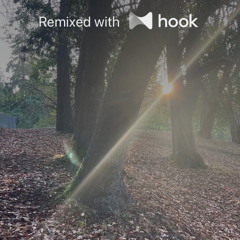 KA$HDAMI x Bicep - SumnSlight x Celeste (@luckycharm Hook Mashup)