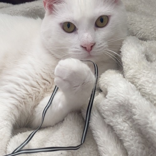 set the scene why dont you?