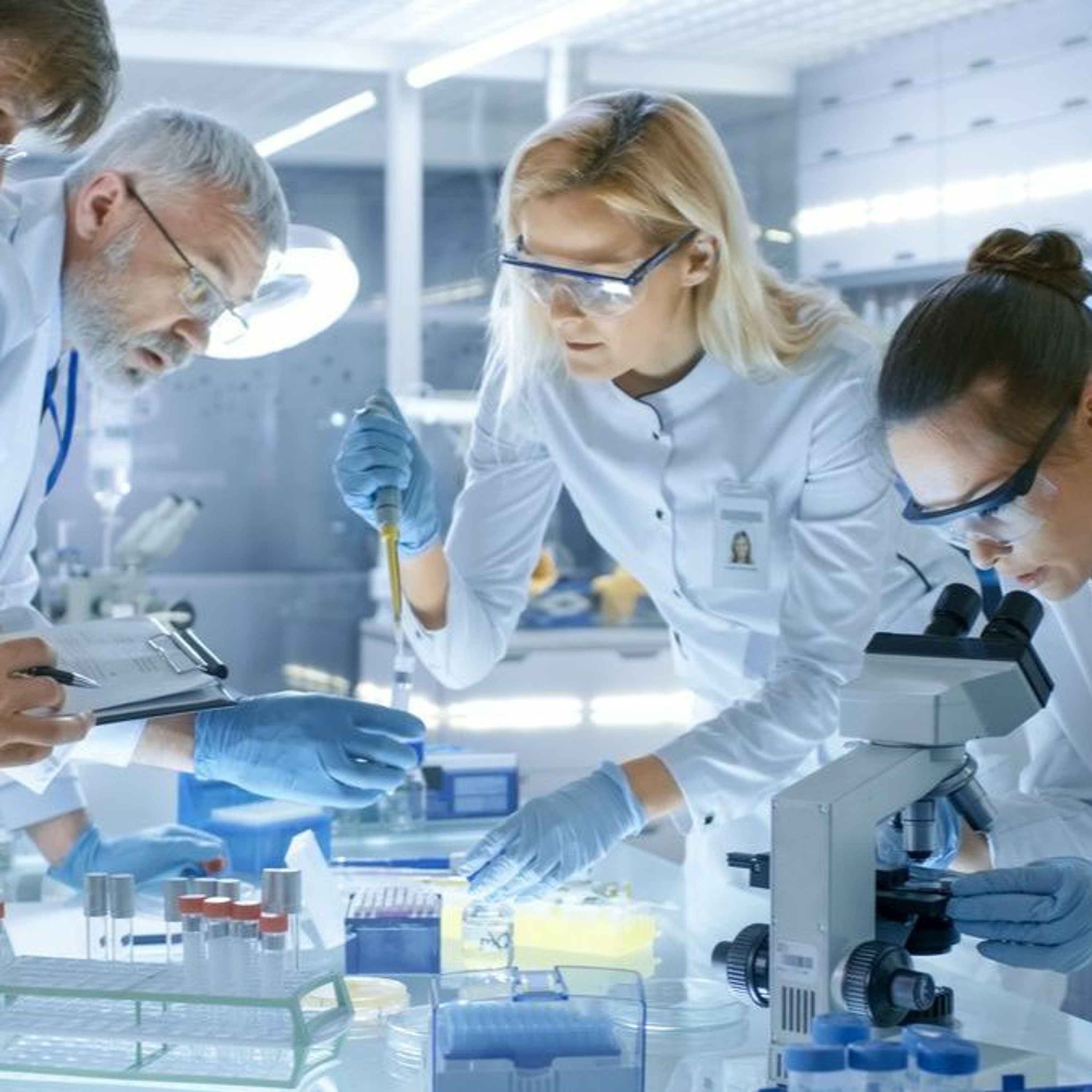 Karlsruher Institut für Technologie ( KIT)