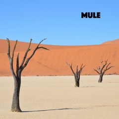Mule