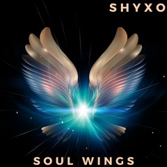 Soul Wings