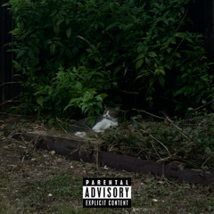 subiibabii - 4everdothis