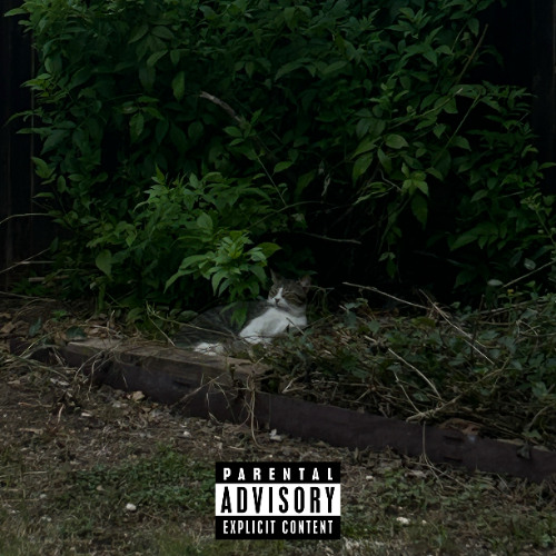subiibabii - 4everdothis