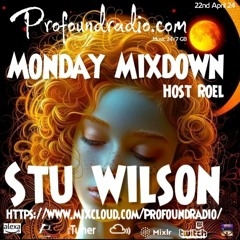 Profound Radio  Progressive House mix  @djstuwilson